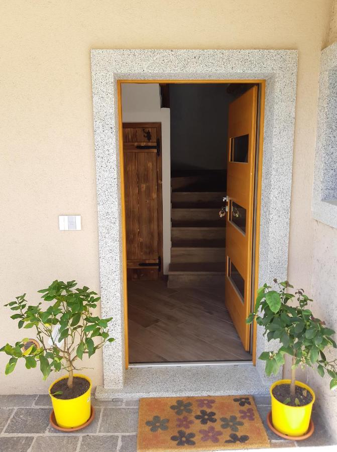 Ledro Nest Appartement Mezzolago Buitenkant foto