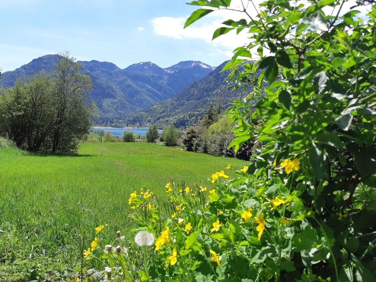 Ledro Nest Appartement Mezzolago Buitenkant foto